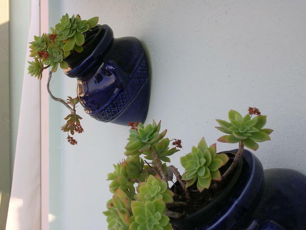 Apartman Lavanda Sutivan Zewnętrze zdjęcie